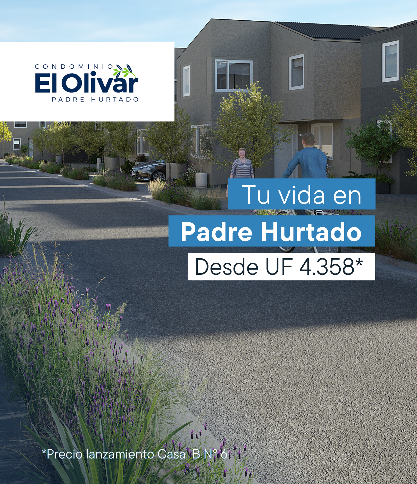 Ver Proyecto